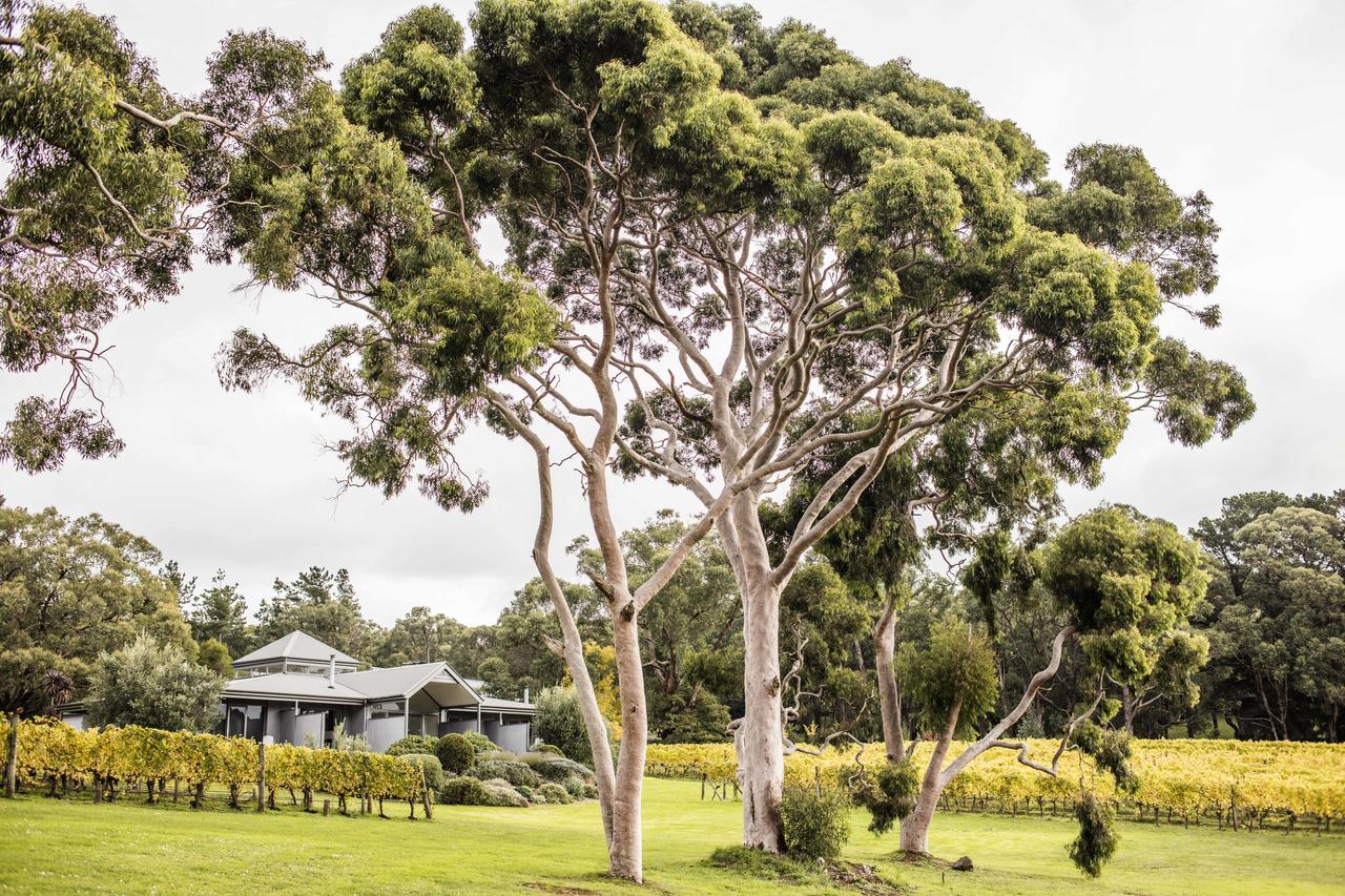 Polperro Villas Red Hill Buitenkant foto