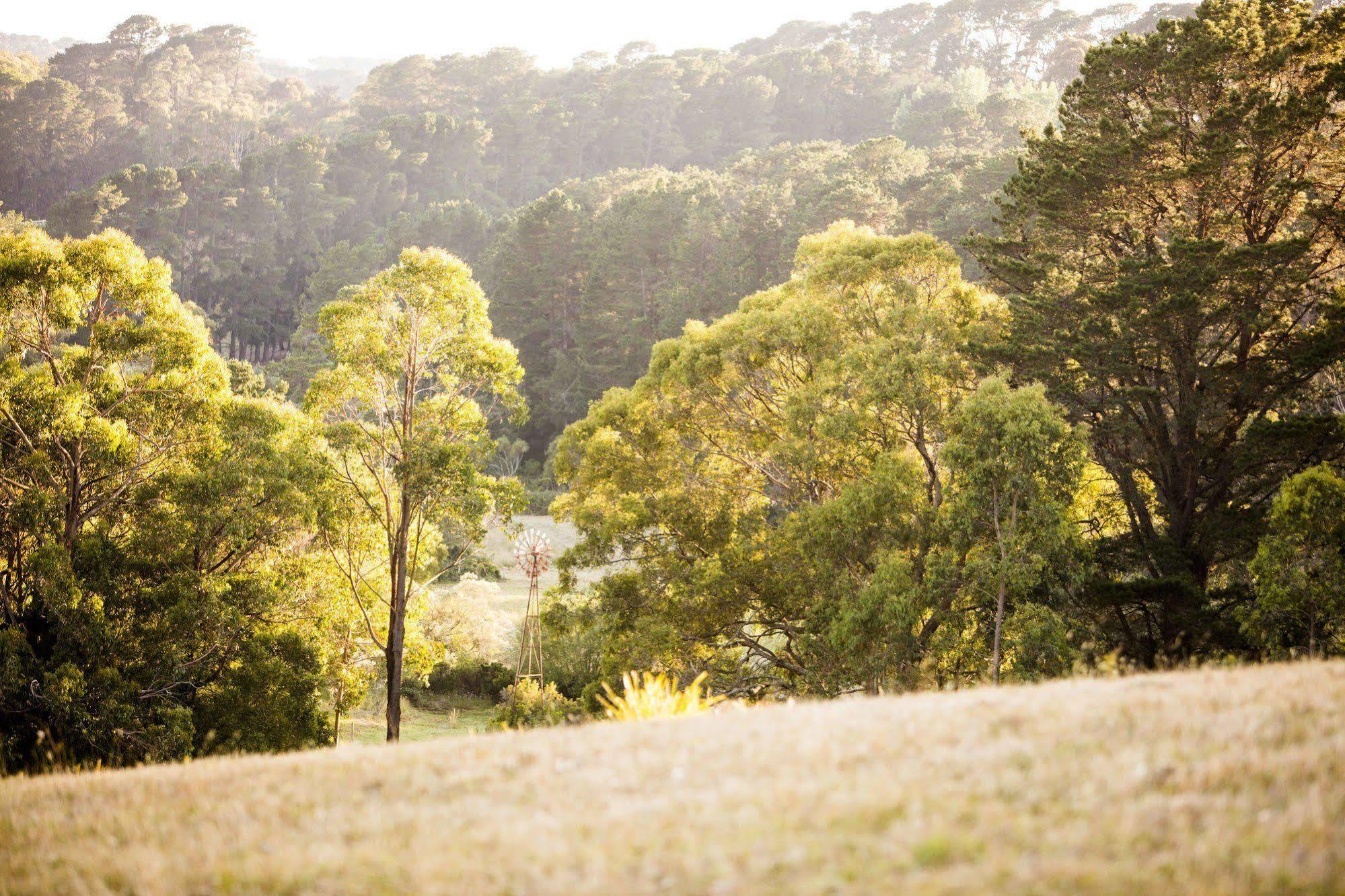 Polperro Villas Red Hill Buitenkant foto